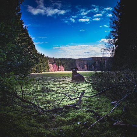 Fewo An Der Zwaens Штольберг Екстер'єр фото