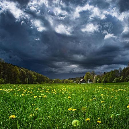 Fewo An Der Zwaens Штольберг Екстер'єр фото
